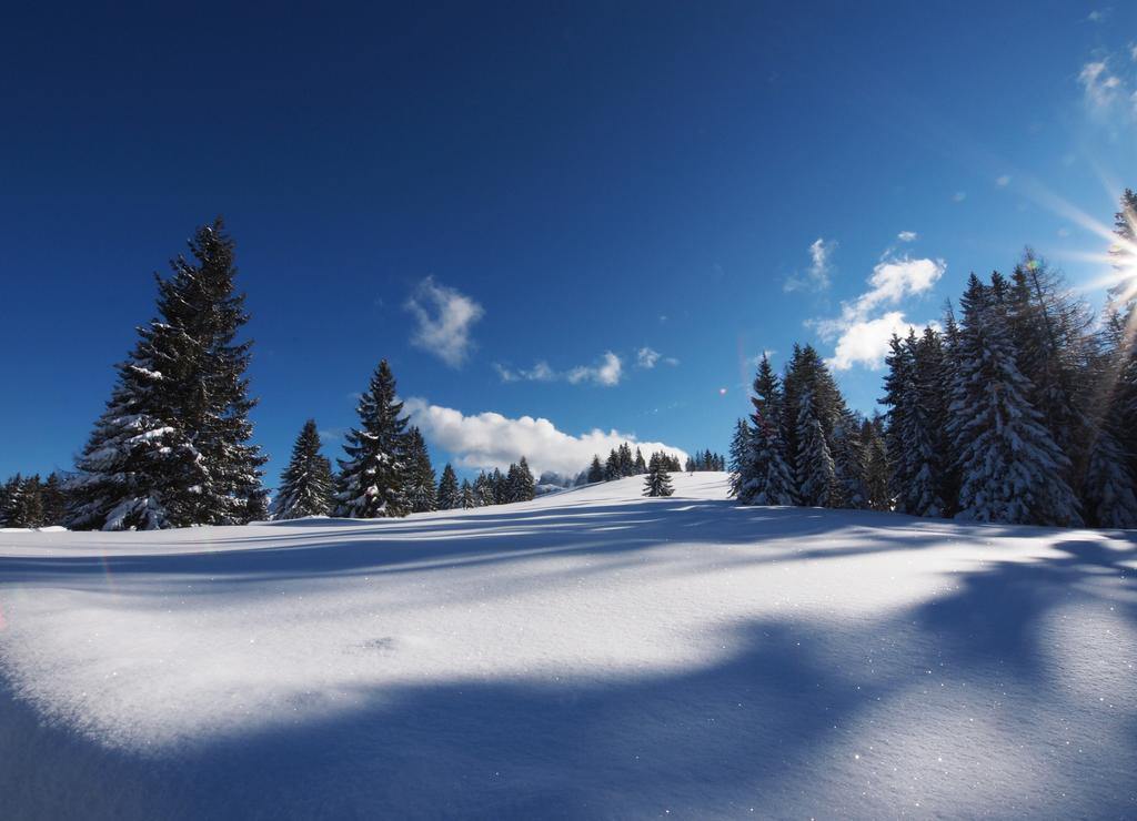 Alpenapartments Unterschlag Annaberg im Lammertal Dış mekan fotoğraf