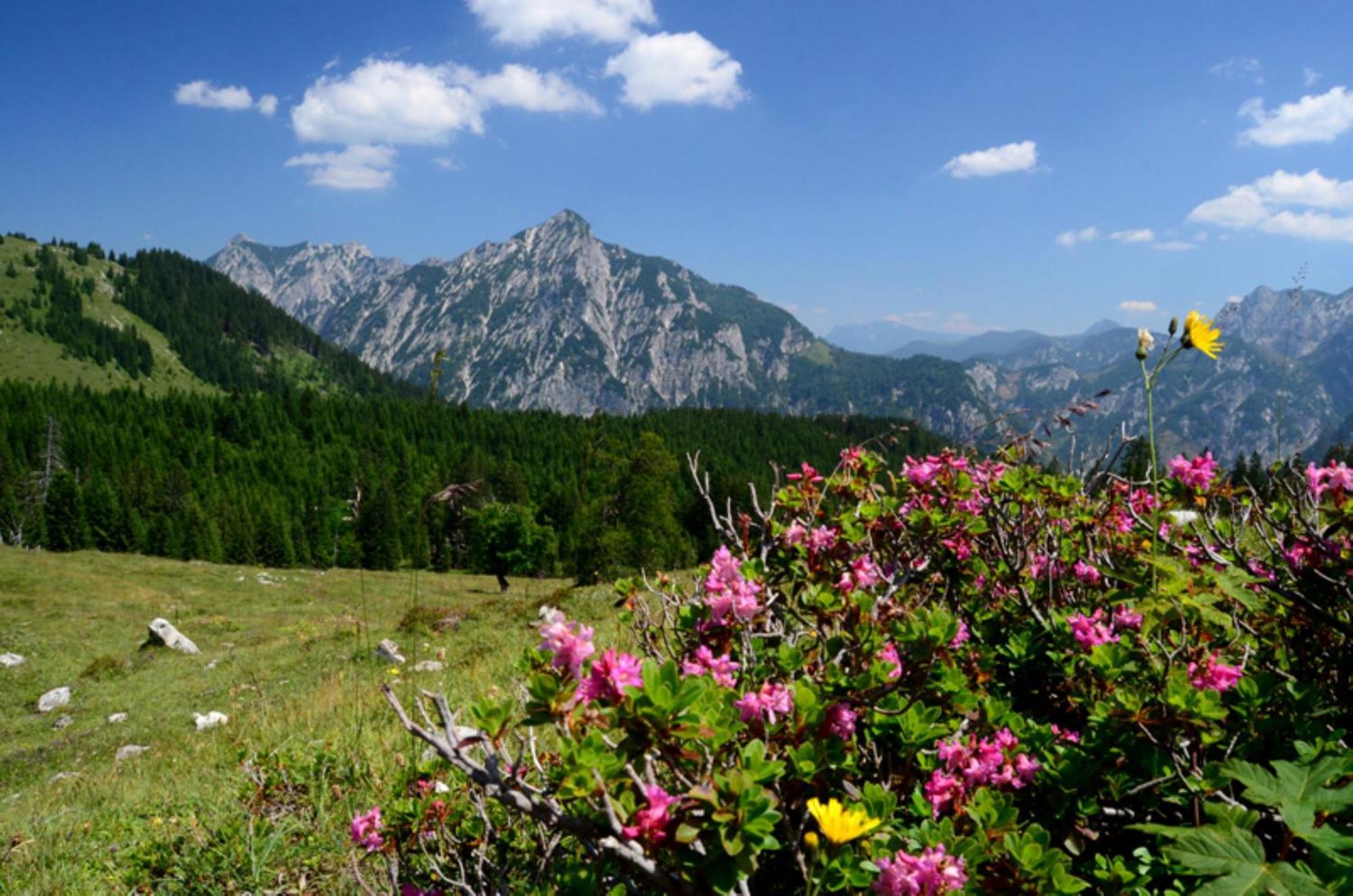 Alpenapartments Unterschlag Annaberg im Lammertal Dış mekan fotoğraf